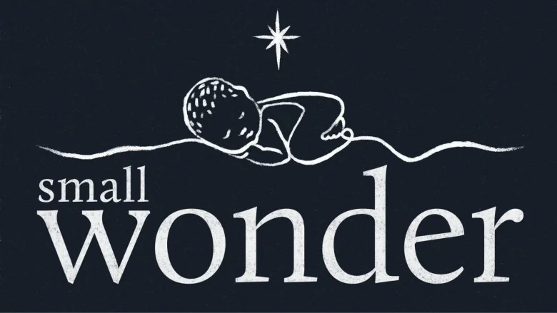 Small Wonder